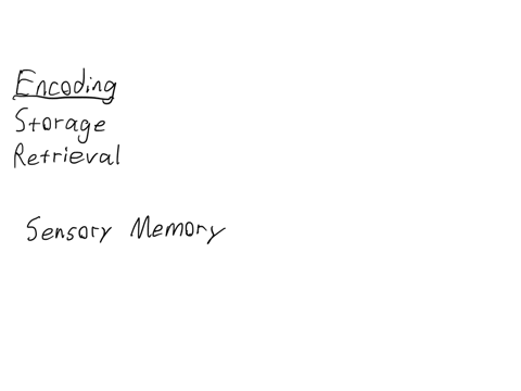 name-the-3-stages-of-information-processing-in-yhe-acquisition-of-memory-imagine-you-are-reading-a-story-in-a-magazine-describe-how-that-information-would-go-through-these-three-phases-of-information-