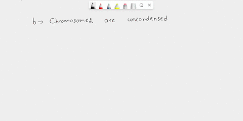 which-of-the-following-is-false-about-interphase-of-the-cell-cycle-0-it-includes-s-phase-chromosomes-are-uncondensed-in-the-nucleus-the-cell-divides-its-a-time-of-cell-growth-and-maintenance-26412