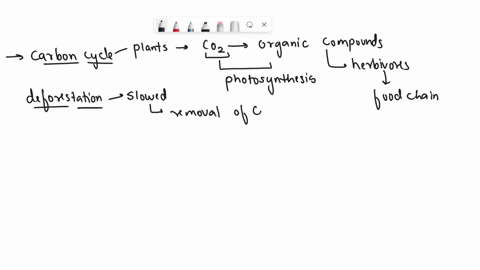 explain-how-deforestation-affects-both-the-carbon-and-the-water-cycles-96102