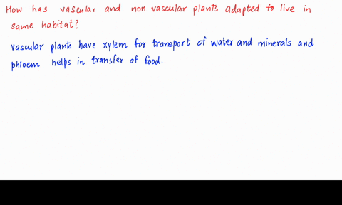 the-number-of-individuals-in-a-speciess-breeding-stock-is-approximately-equivalent-to-that-speciess-______________-in-its-environment-question-1-options-none-of-the-other-answers-are-correct-58082