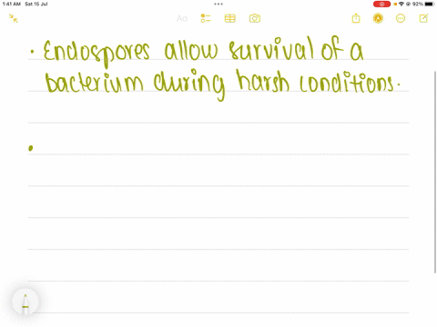 which-of-the-following-statements-is-true-select-all-that-apply-endospores-allow-survival-of-a-bacterium-during-harsh-conditions-endospores-are-for-reproduction-endospores-are-difficult-to-stain-a-cel