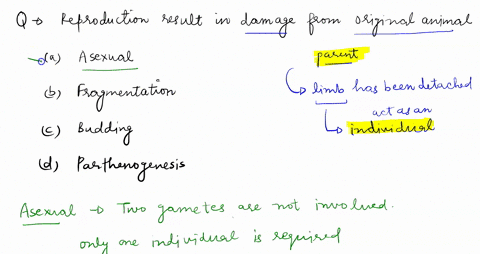 which-form-of-reproduction-can-result-from-damage-to-the-original-animal-a-asexual-b-fragmentation-c-80169
