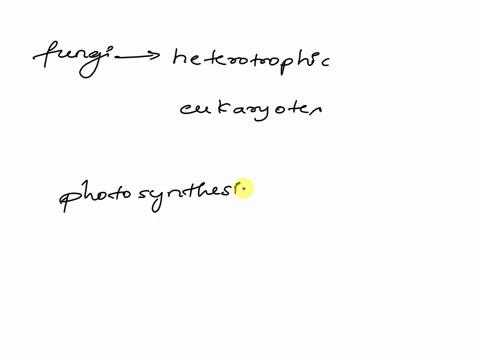 all-fungi-are-a-heterotrophic-eukaryotes-b-autotrophic-eukaryotes-c-heterotrophic-prokaryotes-d-autotrophic-prokaryotes-35106