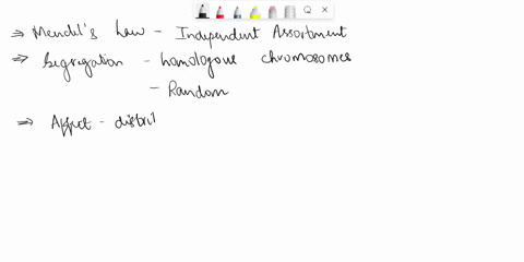 define-mendels-law-of-independent-assortment-a-the-expression-of-one-gene-has-no-effect-on-the-expression-of-another-gene-b-segregation-of-homologous-chromosomes-is-random-c-the-inheritance-33668