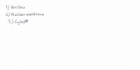 label-the-parts-of-the-animal-cell-write-your-answers-on-a-piece-of-paper-jaet-4-lab-l-lnt-por-inrelacmal-crt-72762