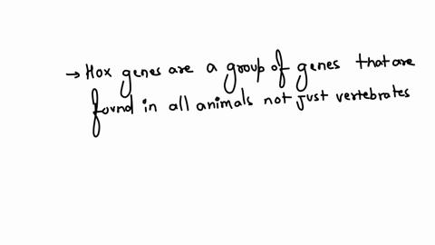 hox-genes-help-organize-the-body-plan-of-developing-animals-and-are-found-only-in-the-vertebrates-question-24-options-true-false