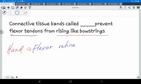 connective-tissue-bands-called-_____prevent-flexor-tendons-from-rising-like-bowstrings-99186