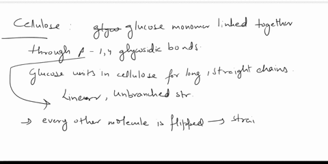 explain-the-difference-between-cellulose-and-starch-in-terms-of-both-structure-and-function-32333