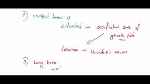 question-1-if-a-thyroid-tumor-secreted-an-excessive-amount-of-calcitonin-you-would-expect-an-elevated-level-of-osteoclast-activity-an-elevated-level-of-osteoblast-activity-an-elevated-level-67694