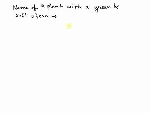 name-of-a-plant-with-a-green-and-soft-stem-19525