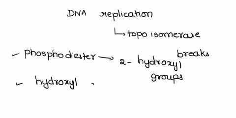 during-dna-replication-topoisomerase-breaks-a-peptide-bonds-b-disulfide-bonds-c-phosphodiester-bonds-d-ionic-bonds-e-hydrogen-bonds-24833