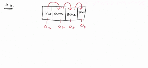 can-you-help-with-the-making-connections-making-connections-hemoglobin-is-composed-of-four-globular-protein-subunits-each-subunit-contains-a-heme-pigment-molecule-see-figure-at-rightthe-vast-02134