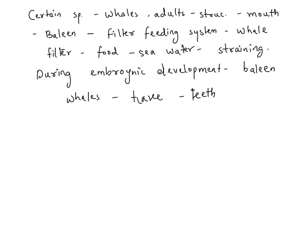 SOLVED: A baleen whale does not have teeth, but rather, baleen. Baleen ...