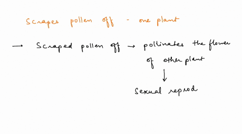 a-botanist-scrapes-pollen-off-a-flower-of-one-plant-and-then-uses-it-to-pollinate-the-flower-of-another-plant-what-can-be-scientifically-concluded-about-their-offspring-a-they-will-have-a-la-30062
