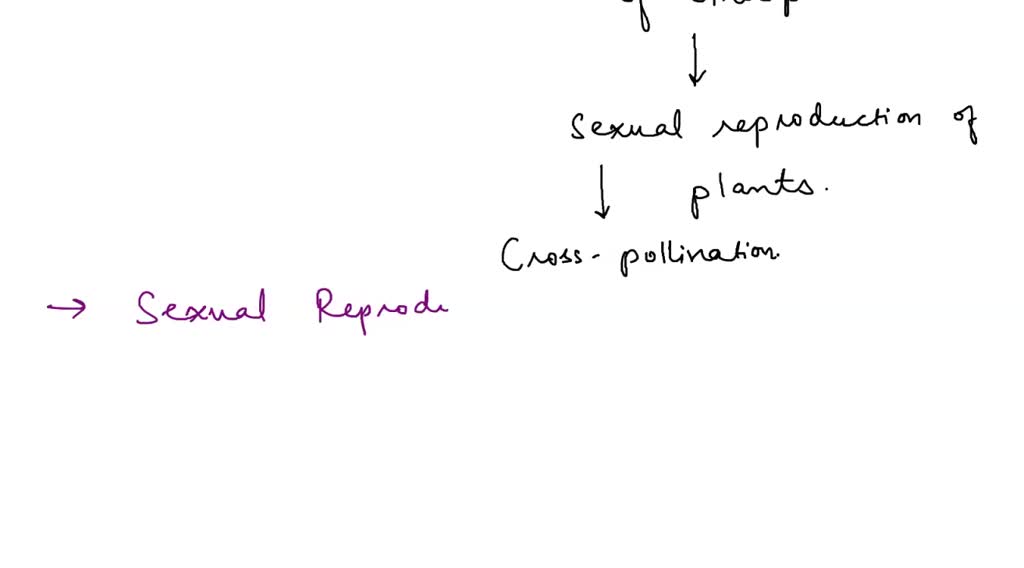 SOLVED Many tiny plants can be seen developing asexually along the