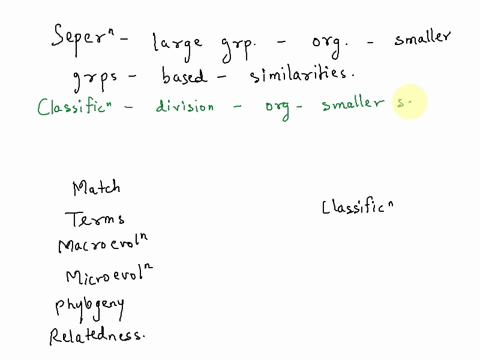 question-17-the-separation-of-large-e-groups-of-organisms-into-smaller-ande-smaller-groups-based-on-similarities-among-organisms-classification-identification-nomenclature-taxonomy-question-14963