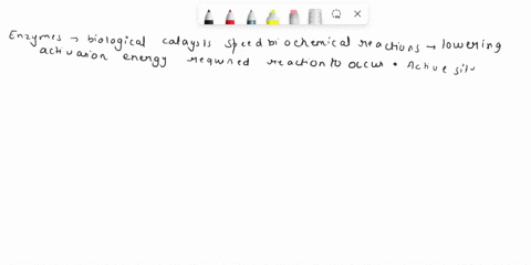 what-are-enzymes-what-is-the-active-site-of-an-enzyme-what-does-the-term-substrate-mean-essay-answers-are-limited-to-about-500-words-3800-characters-maximum-including-spaces-3800-characters-10629