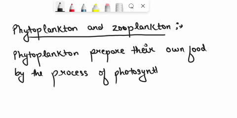 question-3-5-pts-compare-and-contrast-phytoplankton-and-zooplankton-how-are-they-similardifferent-be-sure-to-include-examples-to-support-your-response_-html-editora-0549