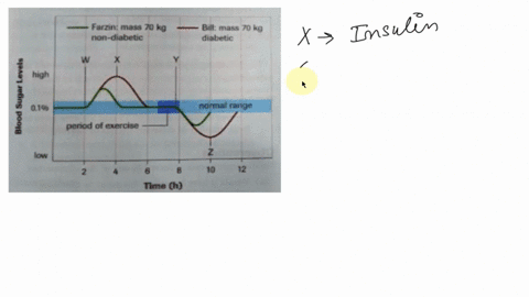 lab-exercise-827-inquiry-skills-questioning-hypothesizing-predicting-planning-analyzing-effects-of-hormones-on-blood-sugar-conducting-evaluating-recording-communicating-blood-sugar-levels-of-14553