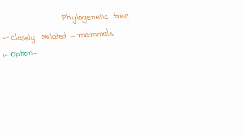 based-on-the-phylogenetic-tree-below-which-of-the-following-is-most-closely-related-to-mammals-catlaghola-n-rox-inned-thee-lobe-dincdelaz-ampn-dnnt-4-cocodilnnn-inton-or-3-1-aedr-select-ane-42897
