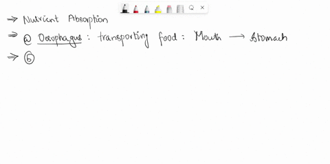 question-39-which-organ-does-mos-nutrient-absorption-occur-14-in-esophagus-clomarn-smaall-uesne-inoe-inteune-qall-bladder-nelceas-87719
