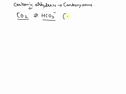 cyanobacteria-contain-carboxysomes-which-consist-of-a-protein-shell-that-encloses-rubp-carboxylase-and-is-permeable-to-small-anions-such-as-hco3-explain-why-carbonic-anhydrase-is-also-a-comp-64765