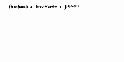 intro-to-invertebrates-list-the-three-types-of-body-cavities-and-give-an-example-of-each-71062