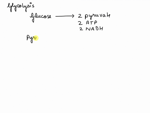 question-10-2-pts-which-of-the-following-statements-is-not-true-about-glycolysis-two-pyruvate-molecules-will-be-praduced-from-each-glucose-molecule-entering-glycolysis-under-anaerobic-condit-56392