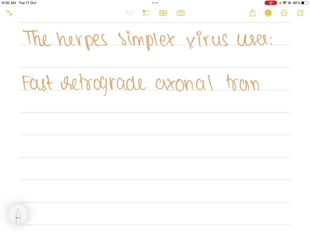 SOLVED Question The disease "herpes" occurs when the herpes simplex