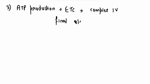 question-3-5-points-where-in-cellular-atp-production-is-oxygen-used-why-is-it-necessary-format-4-n-r-h-question-4-5-points-in-order-for-the-electron-transport-chain-and-atp-synthase-to-funct-59388