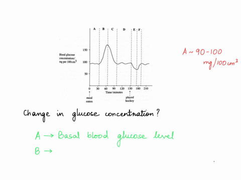 the-graph-in-figure-4-shows-changes-in-blood-glucose-concentration-after-meal-e-f-150-blood-glucose-concentration-mg-per-ioocm-100-50-30-60-90-120-150-180-210-timeminutes-meal-eaten-played-h-18247