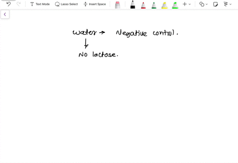 what-would-be-a-good-negative-control-in-the-lactose-experiment-73162
