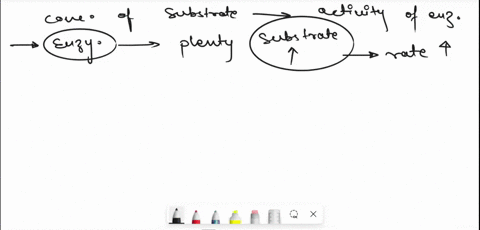 activity-4-the-effect-of-c-observe-the-plot-concentration-below-and-ph-on-affects-the-ofthevenzt-conclusions-canyou-draw-enzyme-e-activity-activity-enzyme-about-how_-corentation-of-substrate-58569