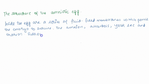 1-diagram-the-structure-of-the-amniotic-egg-and-describe-each-tissue-layer-2-identify-the-critical-innovations-of-the-amniotes-57115
