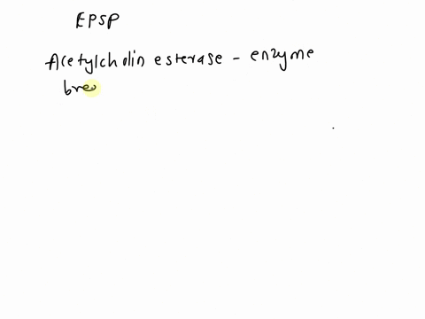some-pesticides-inhibit-acetylcholinesterase-the-enzyme-that-breaks-down-acetylcholine-explain-how-these-toxins-would-affect-epsps-produced-by-acetylcholine-42996