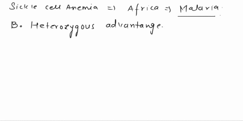 the-recessive-allele-for-sickle-cell-anemia-is-more-prevalent-in-regions-of-africa-where-malaria-prevalent-than-itis-in-regions-where-there-is-no-malaria-this-is-due-to-founder-effect-hetero-60124