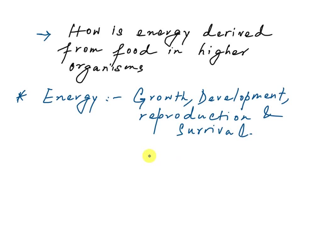 Using the eight stages of food service cycle as a framework, visit and collect information about
