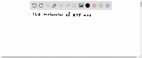 how-many-molecules-of-atp-are-obtained-from-the-nadh-and-fadh-_2-formed-in-the-beta-oxidation-of-one-20348
