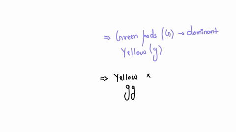 give-the-given-test-cross-phenotype-phenotypic-ratio-genotype-and-genotypic-ratio-in-complete-form-and-answer-2