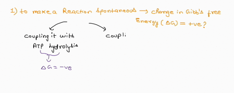 1reactions-with-positive-standard-free-energy-changes-goa0-can-be-made-to-occur-in-cells-by-acoupling-them-to-the-hydrolysis-of-atp-bcoupling-them-with-exergonic-reactions-via-a-common-inter-95134