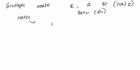 imagine-a-population-with-three-genotypes-aa-ab-and-bb-with-relative-fitnesses-10-09-and-08-a-if-the-initial-frequency-of-the-a-allele-is-p-03-calculate-the-average-excess-of-fitness-of-the-90646
