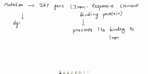 a-how-does-a-mutation-in-the-irp-gene-that-prevents-its-binding-to-iron-but-not-to-ires-will-affect-the-regulation-of-ferritin-and-transferin-receptor-mrnas-b-do-you-think-an-individual-with-92902
