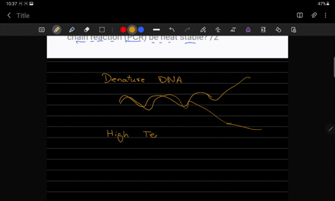 why-must-the-dna-polymerase-used-in-the-polymerase-chain-reaction-pcr-be-heat-stable-2-91216