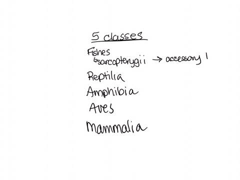 name-the-5-classes-of-vertebrates-and-describe-the-major-evolutionary-adaptation-or-characteristic-that-allowed-them-to-adapt-to-their-environment-andor-move-away-from-an-aquatic-existence-56816