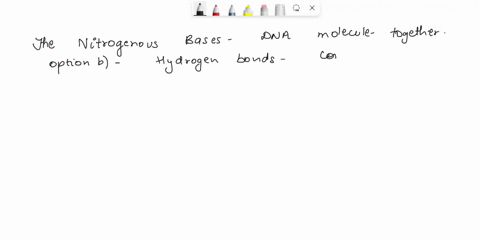 f-ureounollt-bases-in-double-stranded-dna-molecule-are-held-to-each-other-by-what-kind-f-bonds-plyeocidic-deolida-lneregen-e-oleuelat-03962