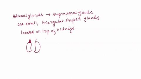 please-answer-all-of-the-questions-1-what-part-of-the-endocrine-system-secretes-hormones-that-produce-long-term-responses-to-stress-select-one-a-the-adrenal-cortex-b-the-thyroid-gland-c-the-34978
