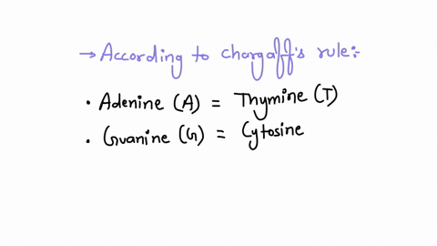 if-10-of-the-bases-in-a-dna-sample-are-a-adenine-then-what-percent-of-the-bases-are-t-thymine-g-guanine-and-c-cytosine-73434