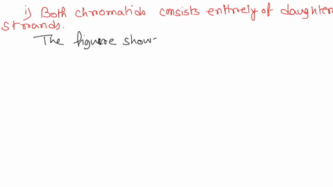 dna-rcplication-then-sclect-the-one-true-statement-replicated-chromosome-belov-relatcs-consider-how-the-image-pan-0-2-identical-sister-chtomatics-both-chromatids-consist-cntirely-of-daughter-39417