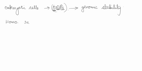 ineukaryotic_cells-homologous-recombination-hr-and-non-homologous-end-joining-nhej-are-to-repair-double-strand-breaks-the-pathway-choice-is-crucial-hr-may-be-activated-even-if-a-homologous-d-92828
