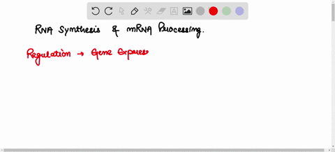 select-the-terms-that-represent-a-mode-of-regulation-of-gene-expression-in-eukaryotes-b-form-dna-structure-purine-ring-structure-rna-synthesis-acetylation-mrna-processing-83189